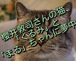櫻井敦司さんの猫、「くるみ」と「まる」ちゃんに夢中！