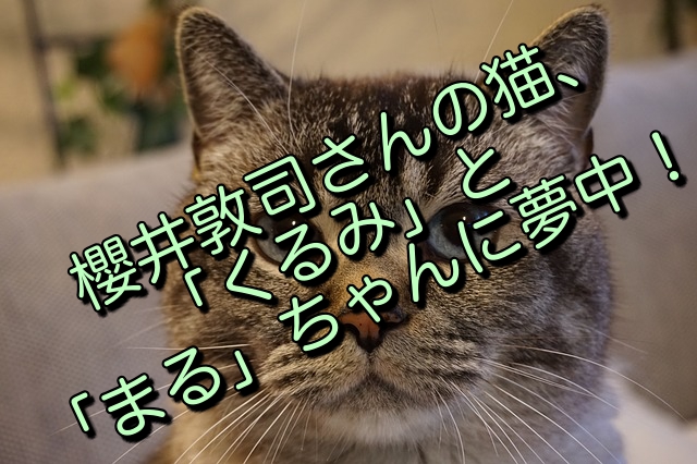 櫻井敦司さんの猫、「くるみ」と「まる」ちゃんに夢中！